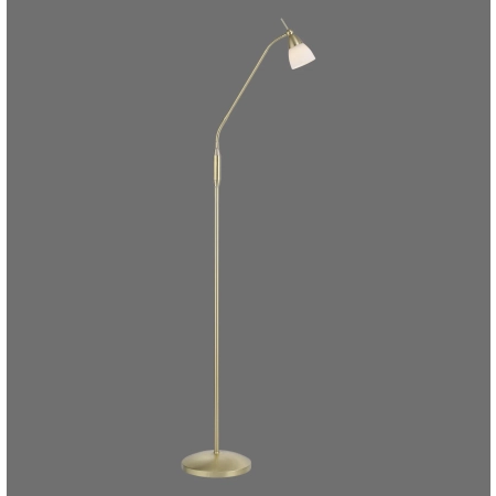 Lampa podłogowa PINO 400-60 - Paul Neuhaus