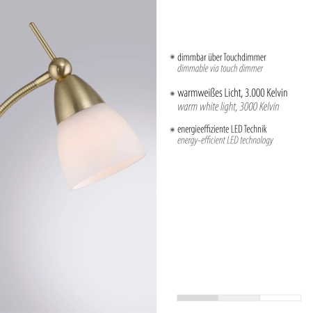 Lampa podłogowa PINO 400-60 - Paul Neuhaus