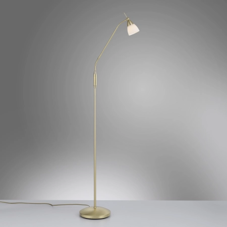 Lampa podłogowa PINO 400-60 - Paul Neuhaus