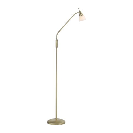 Lampa podłogowa PINO 400-60 - Paul Neuhaus