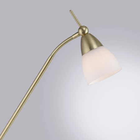 Lampa podłogowa PINO 400-60 - Paul Neuhaus