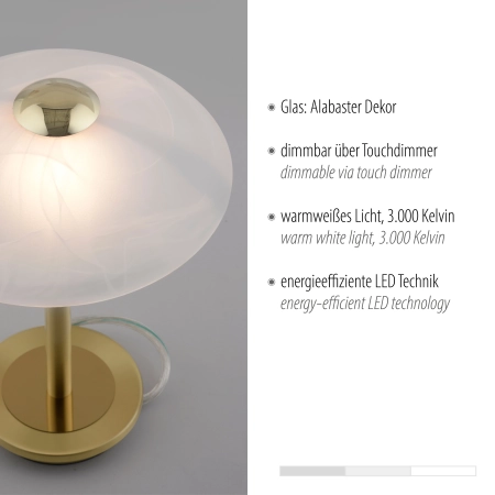 Lampa stołowa ENOVA 4026-60 - Paul Neuhaus