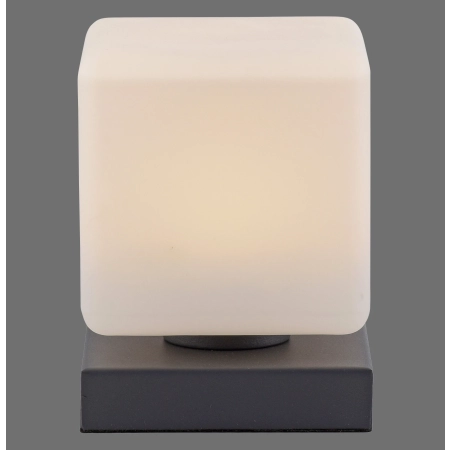 Lampa stołowa DADOA 4036-13 - Paul Neuhaus