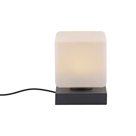 Lampa stołowa DADOA 4036-13 - Paul Neuhaus