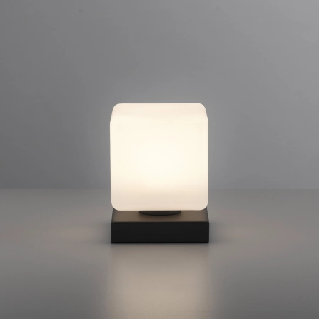 Lampa stołowa DADOA 4036-13 - Paul Neuhaus