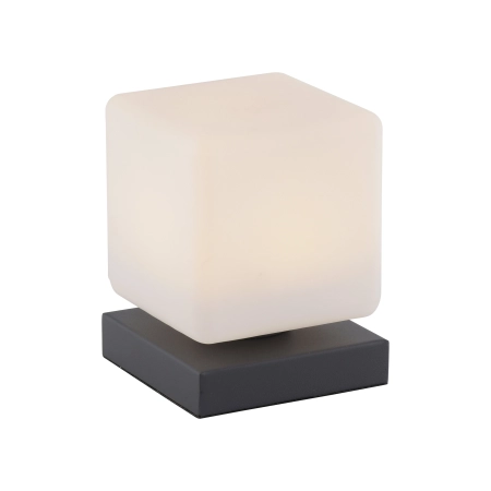 Lampa stołowa DADOA 4036-13 - Paul Neuhaus
