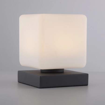 Lampa stołowa DADOA 4036-13 - Paul Neuhaus