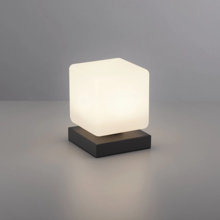 Lampa stołowa DADOA 4036-13 - Paul Neuhaus