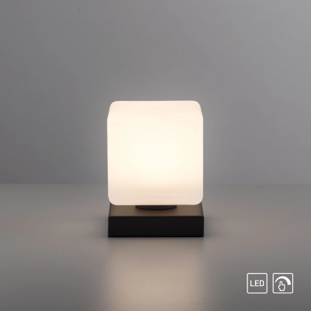 Lampa stołowa DADOA 4036-13 - Paul Neuhaus