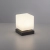 Lampa stołowa DADOA 4036-13 - Paul Neuhaus
