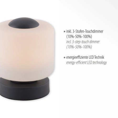 Lampa stołowa BOTA 4037-13 - Paul Neuhaus