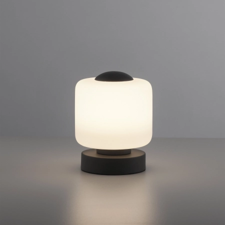 Lampa stołowa BOTA 4037-13 - Paul Neuhaus