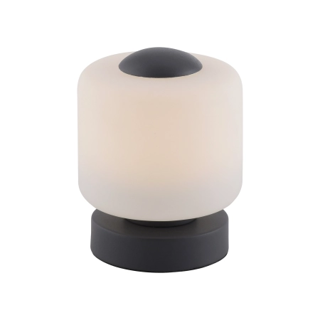 Lampa stołowa BOTA 4037-13 - Paul Neuhaus