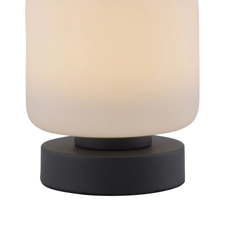 Lampa stołowa BOTA 4037-13 - Paul Neuhaus