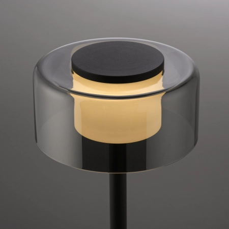 Lampa stołowa RIKA 4110-18 - Paul Neuhaus