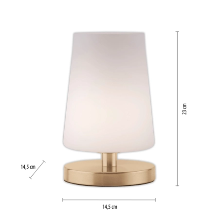 Lampa stołowa SONJA 4146-60 - Paul Neuhaus