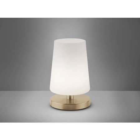 Lampa stołowa SONJA 4146-60 - Paul Neuhaus