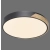 Lampa sufitowa z aplikacją i pilotem  Q-BILA 6071-18 - Paul Neuhaus