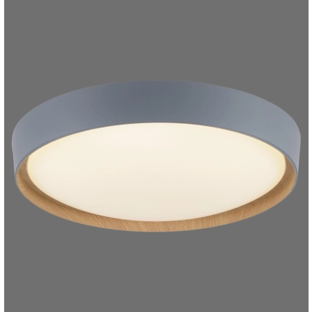 Lampa sufitowa z aplikacją i pilotem Q-EMILIA 6118-15 - Paul Neuhaus