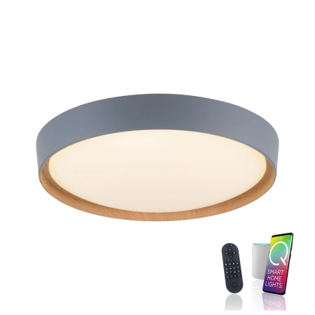 Lampa sufitowa z aplikacją i pilotem Q-EMILIA 6118-15 - Paul Neuhaus