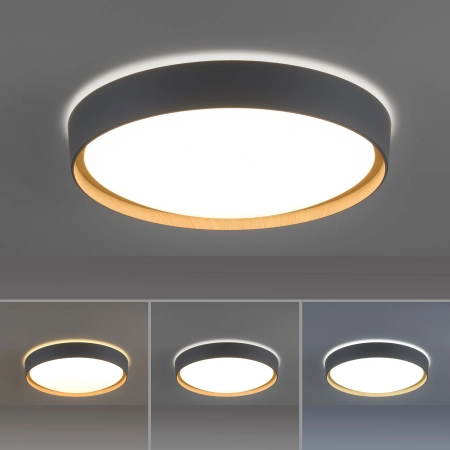 Lampa sufitowa z aplikacją i pilotem Q-EMILIA 6118-15 - Paul Neuhaus