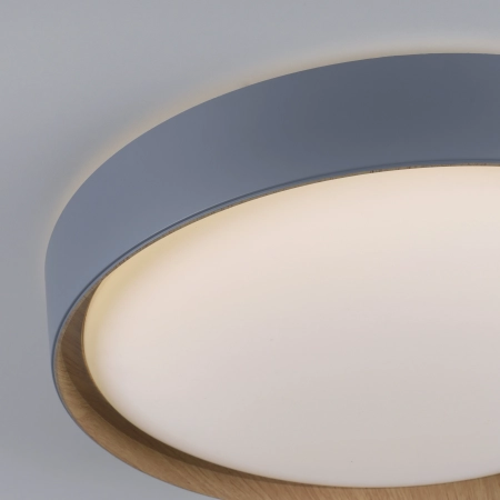 Lampa sufitowa z aplikacją i pilotem Q-EMILIA 6118-15 - Paul Neuhaus