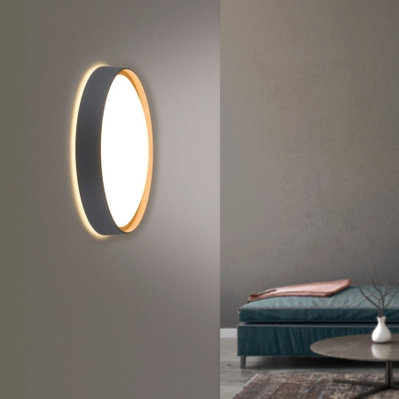 Lampa sufitowa z aplikacją i pilotem Q-EMILIA 6118-15 - Paul Neuhaus