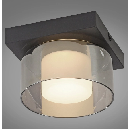 Lampa sufitowa RIKA 6162-18 - Paul Neuhaus