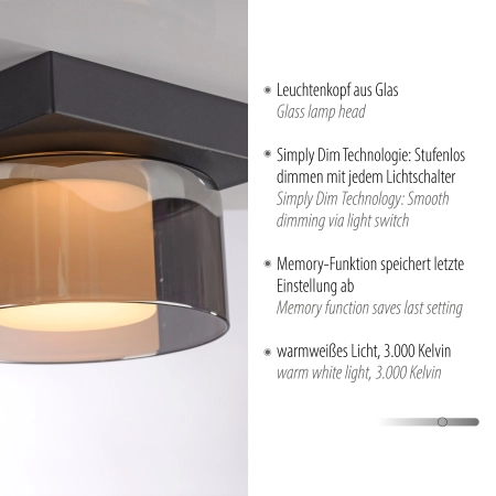 Lampa sufitowa RIKA 6162-18 - Paul Neuhaus