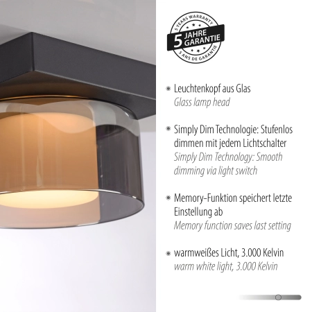 Lampa sufitowa RIKA 6162-18 - Paul Neuhaus