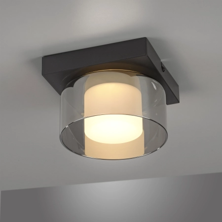 Lampa sufitowa RIKA 6162-18 - Paul Neuhaus