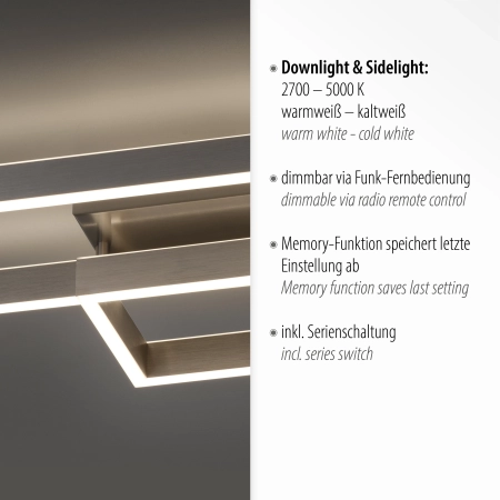 Lampa sufitowa PAAN 6231-55 - Paul Neuhaus