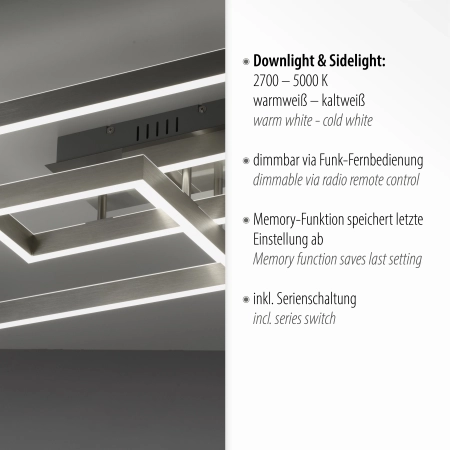 Lampa sufitowa PAAN 6232-55 - Paul Neuhaus