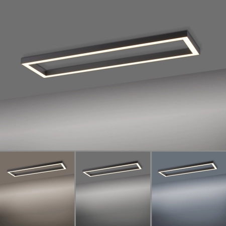 Lampa sufitowa na pilota PURE-LINES 6023-13 - Paul Neuhaus