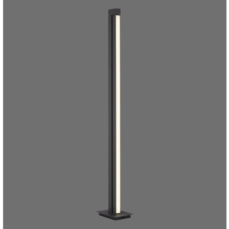 Lampa podłogowa na pilota PURE-LINES 421-13 - Paul Neuhaus