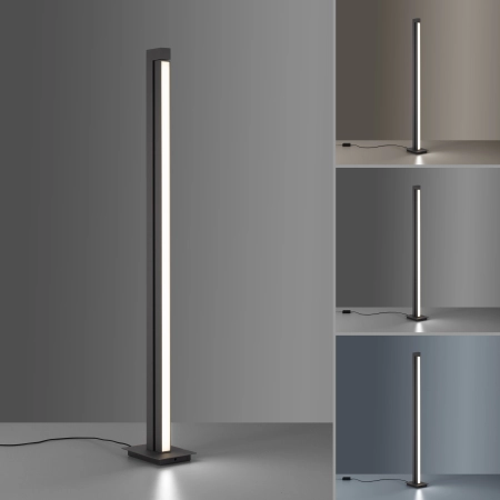 Lampa podłogowa na pilota PURE-LINES 421-13 - Paul Neuhaus