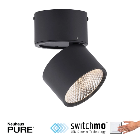 Lampa zewnętrzna PURE-NOLA 6451-18 - Paul Neuhaus