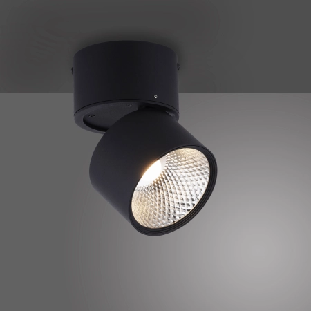 Lampa zewnętrzna PURE-NOLA 6451-18 - Paul Neuhaus