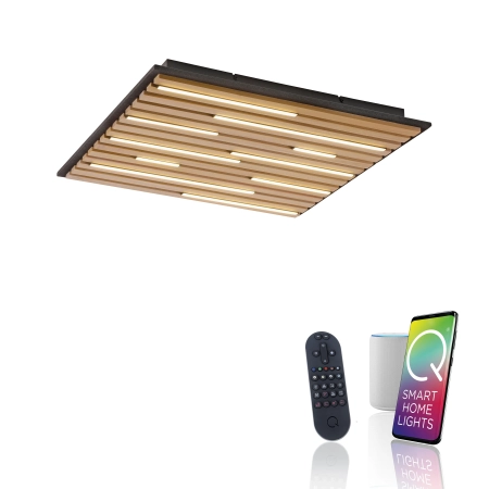 Lampa sufitowa z lamelem na pilota + smart  / kinkiet Q-AKUSTIK 6423-79 - Paul Neuhaus