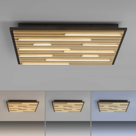 Lampa sufitowa z lamelem na pilota + smart  / kinkiet Q-AKUSTIK 6423-79 - Paul Neuhaus