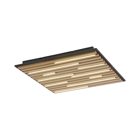 Lampa sufitowa z lamelem na pilota + smart  / kinkiet Q-AKUSTIK 6423-79 - Paul Neuhaus