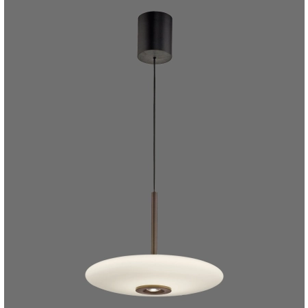 Lampa wisząca na pilota elektryczna z windą  PURE E-Vitrum 2084-34 - Paul Neuhaus