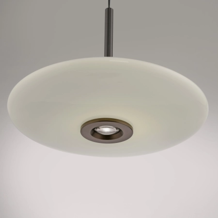 Lampa wisząca na pilota elektryczna z windą  PURE E-Vitrum 2084-34 - Paul Neuhaus