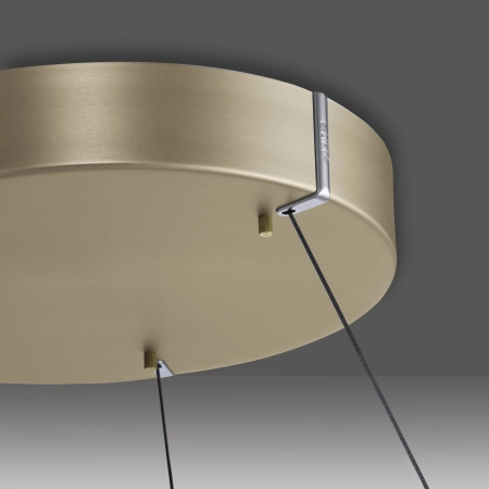 Lampa wisząca z pilotem i windą elektryczną PUREE-LOOP 2551-60 - Paul Neuhaus