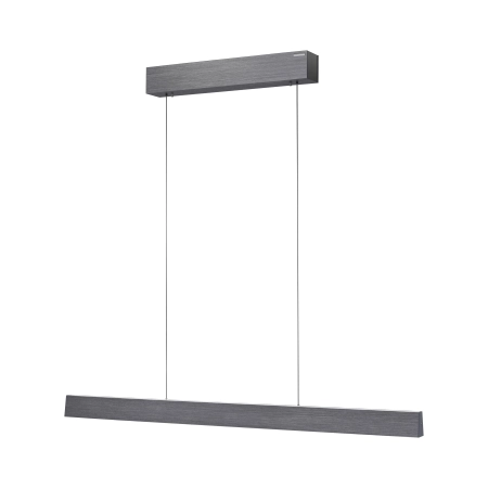 Lampa wisząca z pilotem i windą elektryczną szara PURE E-MOTION 2570-15 - Paul Neuhaus
