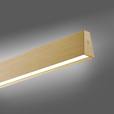 Lampa wisząca z pilotem i windą elektryczną złota PURE E-MOTION 2570-60 - Paul Neuhaus