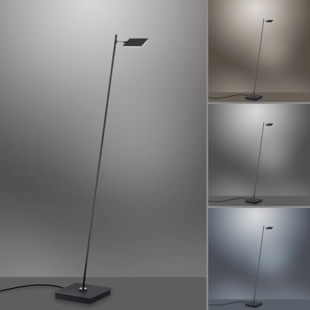 Lampa podłogowa na pilota PURE-MIRA 356-18 - Paul Neuhaus