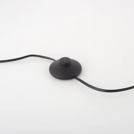 Lampa podłogowa na pilota PURE-MIRA 356-95 - Paul Neuhaus