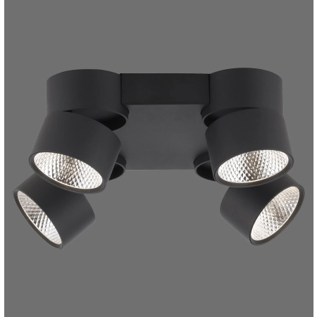 Lampa sufitowa PURE-NOLA 6454-18 - Paul Neuhaus