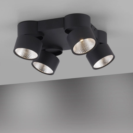 Lampa sufitowa PURE-NOLA 6454-18 - Paul Neuhaus